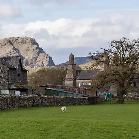 Stunning - Puddleduck - Centre Of